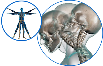 Chiropractic Diagrams in Salem, OR